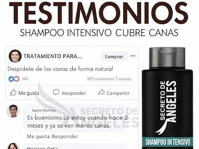 KIT SHAMPOO CUBRECANAS + SPLASH CAPILAR RESVERATROL