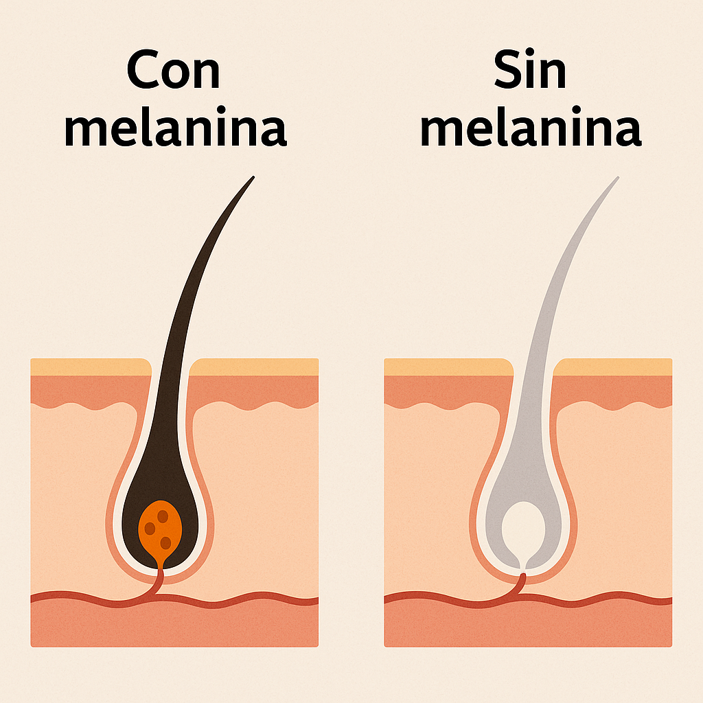 KIT SHAMPOO CUBRECANAS + SPLASH CAPILAR RESVERATROL